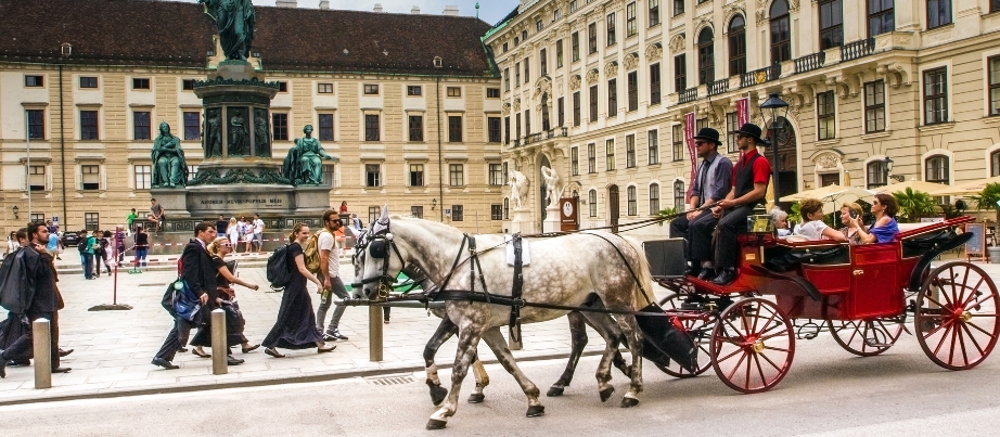 Pferdekutsche fährt durch Wien